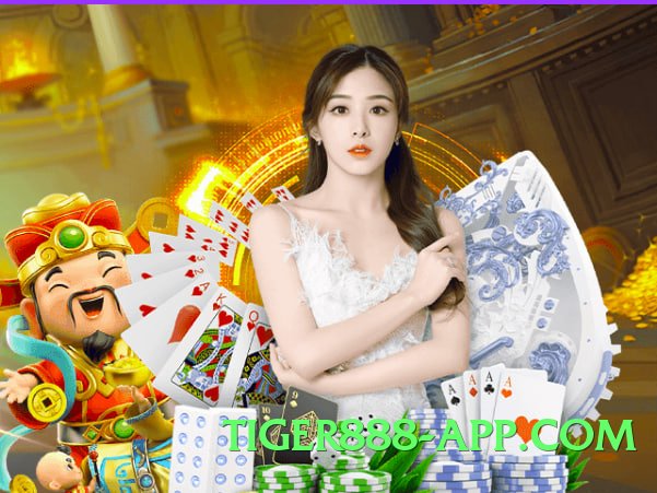 RoyalBet Chief 2025 Screenshot 4